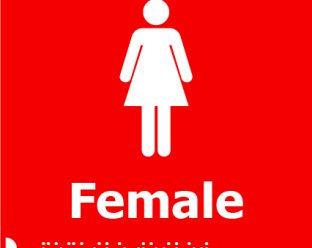 A red background sign with a white icon of a female figure above the bold white word "Female" and Braille dots underneath.