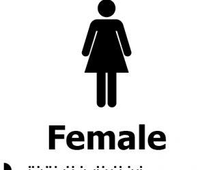 A black and white sign depicting a female figure icon above the word "Female" in bold, with Braille dots underneath.