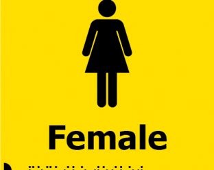 A yellow background sign with a black icon of a female figure, the word "Female" in bold black letters below, and Braille dots underneath.