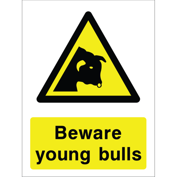 Warning sign with a yellow triangle containing a bull silhouette and the words “Beware young bulls” in bold black on yellow background