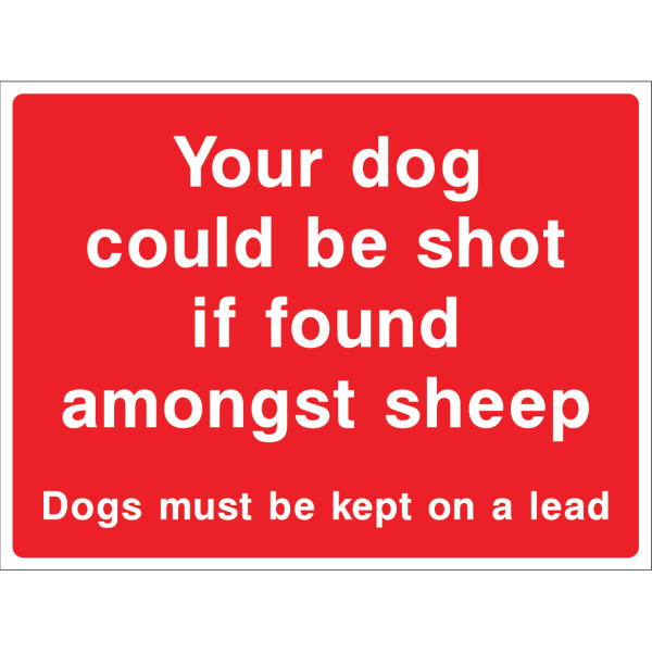 Warning sign about dogs and sheep with bold white text on red background