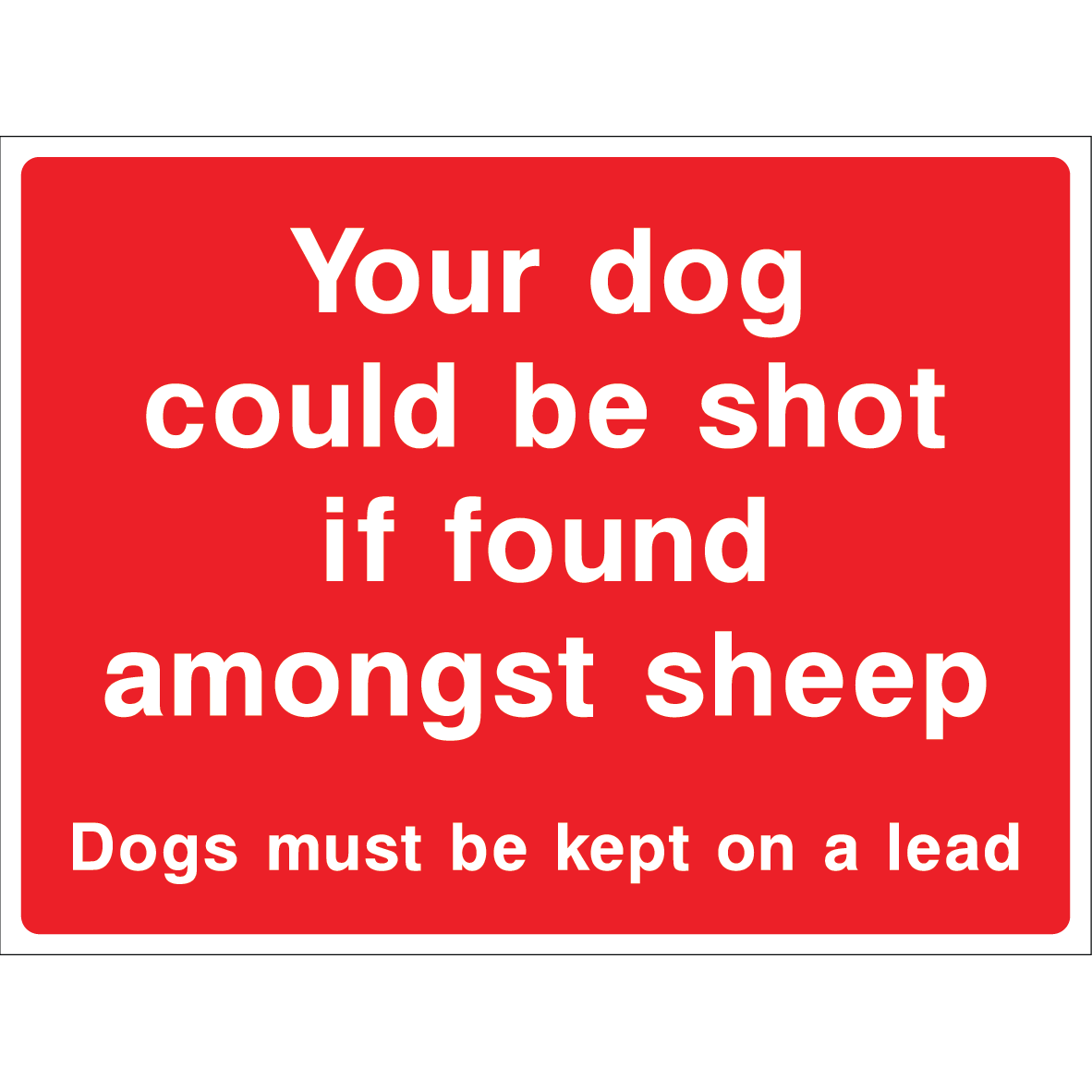 Warning sign about dogs and sheep with bold white text on red background